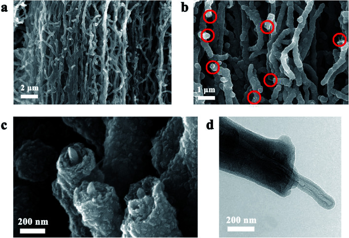 Fig. 8