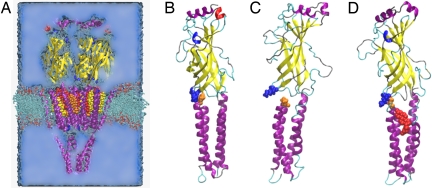 Fig. 4.