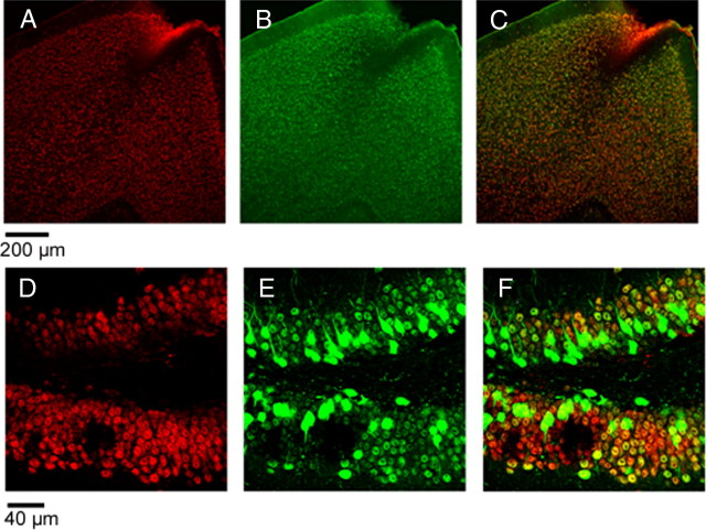 Figure 6.