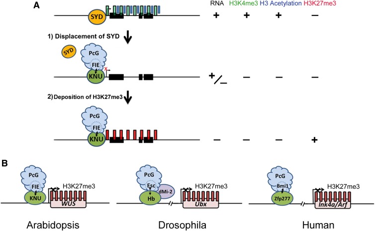 Figure 10.