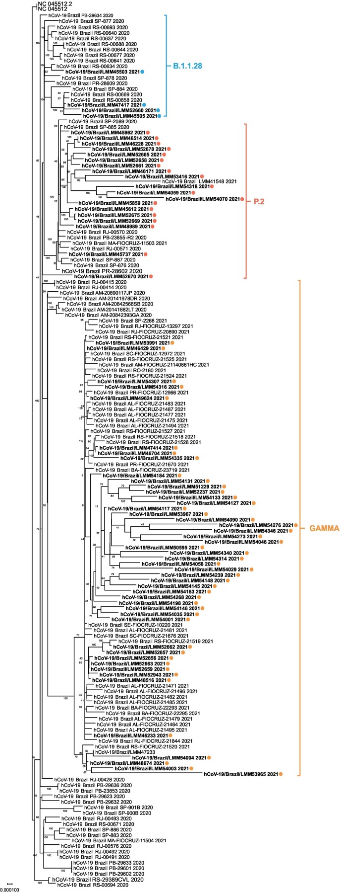 Fig. 4