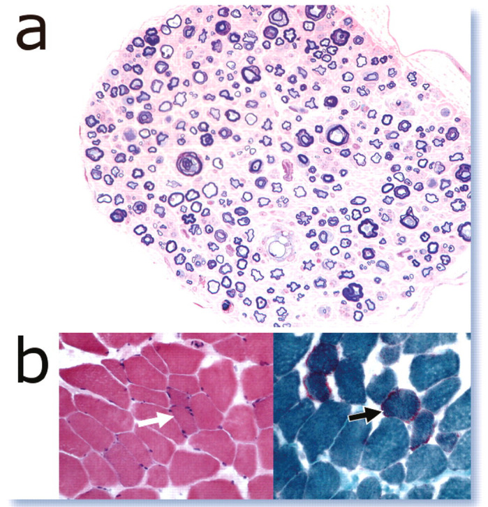 FIG 6