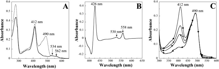 FIGURE 3.