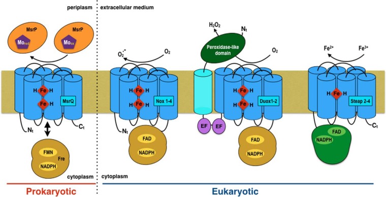 FIGURE 7.