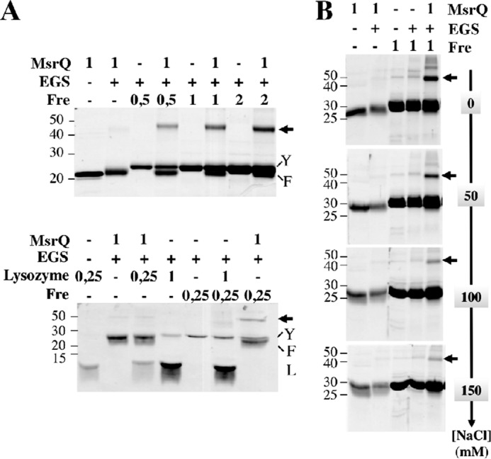 FIGURE 5.