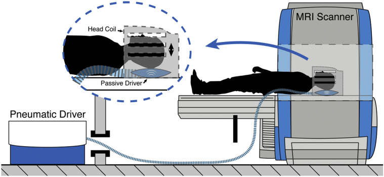 Fig. 1