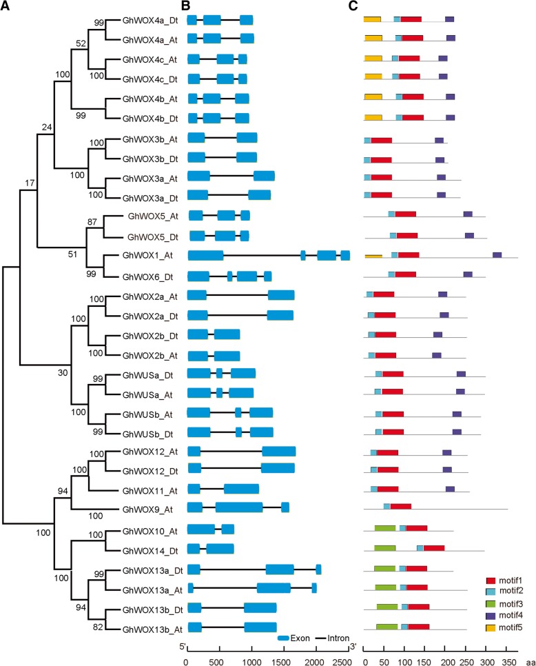 Fig. 3