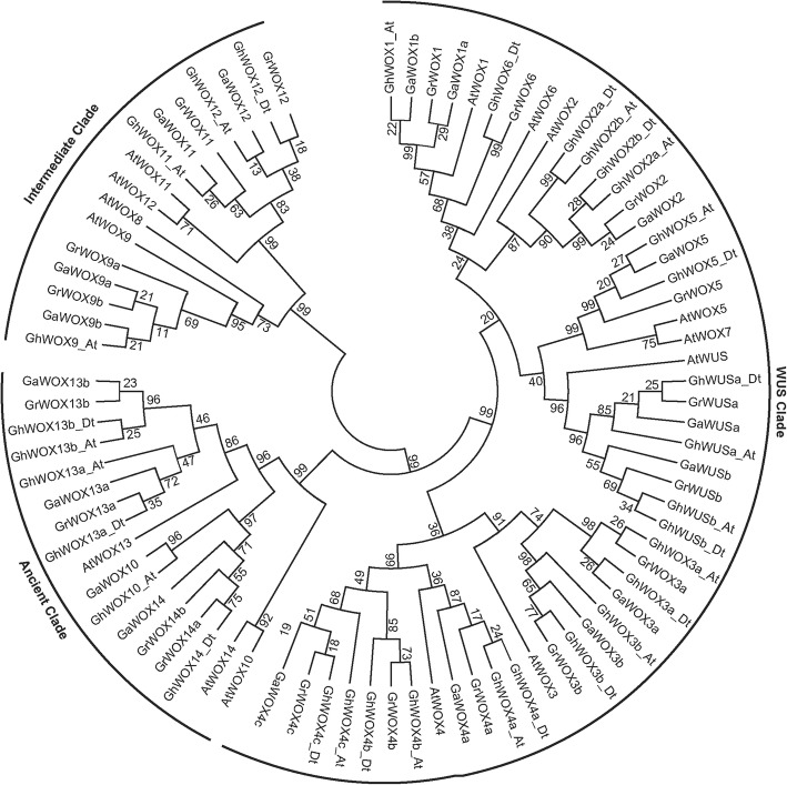 Fig. 1