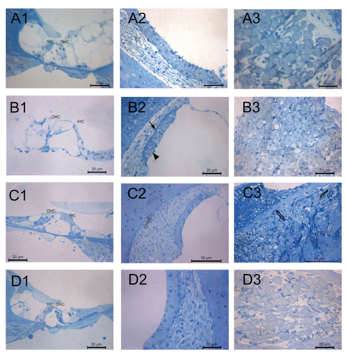 Figure 3. a–d