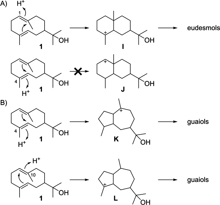 Scheme 5