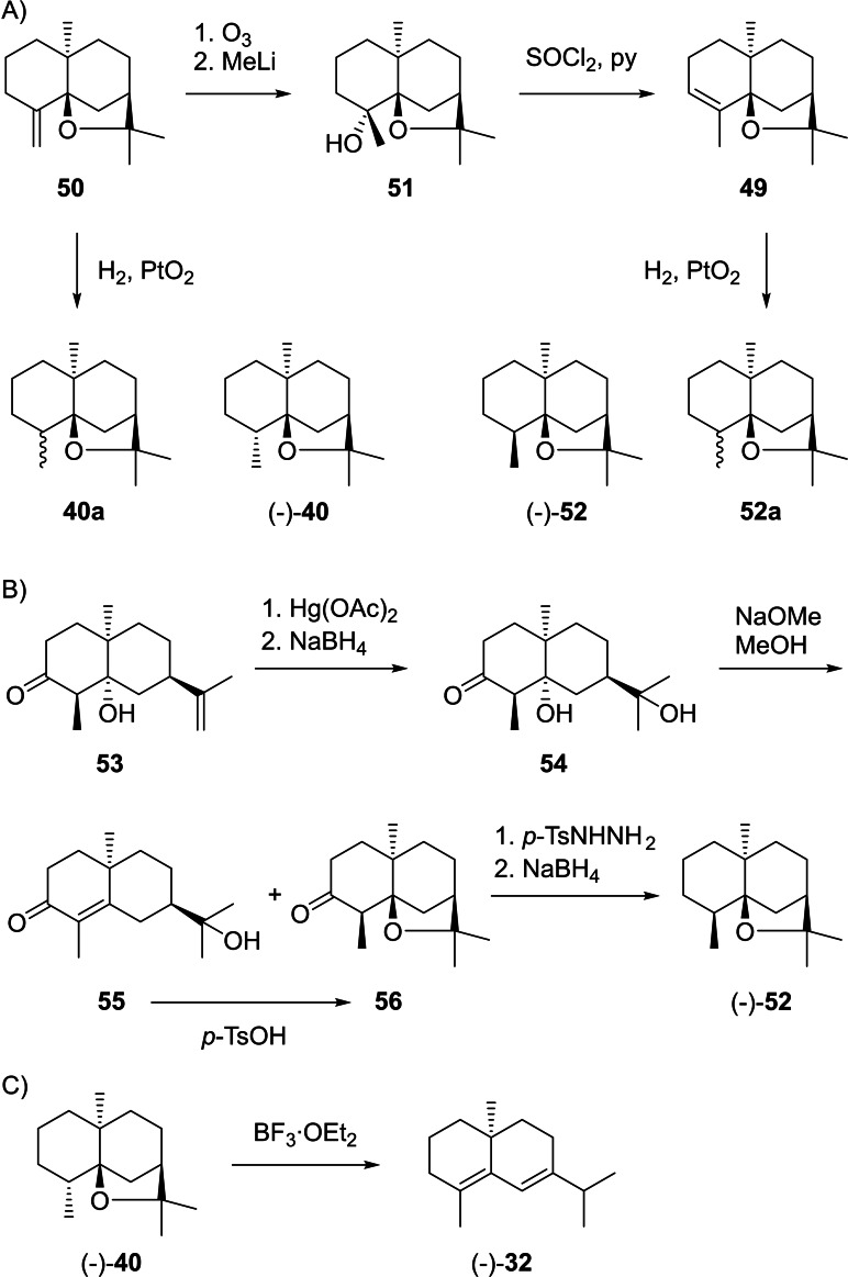 Scheme 13