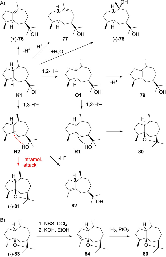 Scheme 24