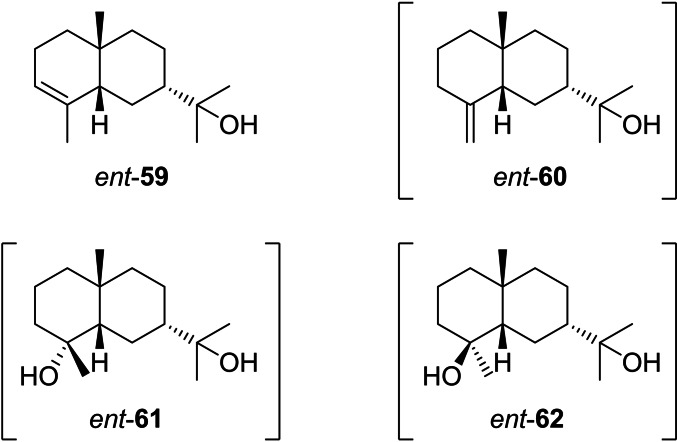 Scheme 21