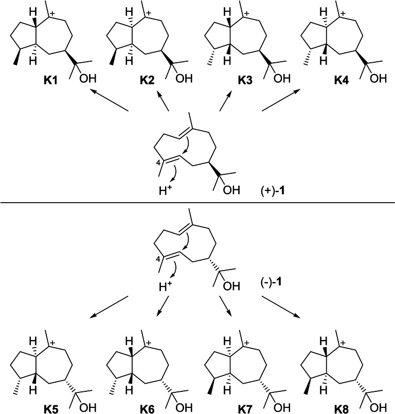 Scheme 23