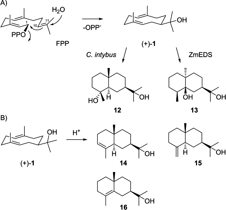 Scheme 4