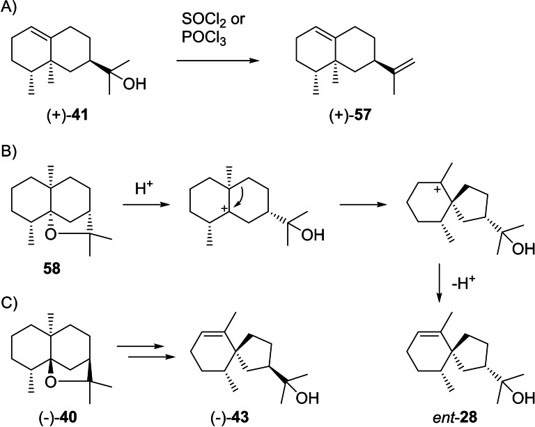Scheme 14