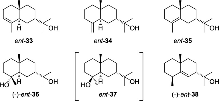 Scheme 20