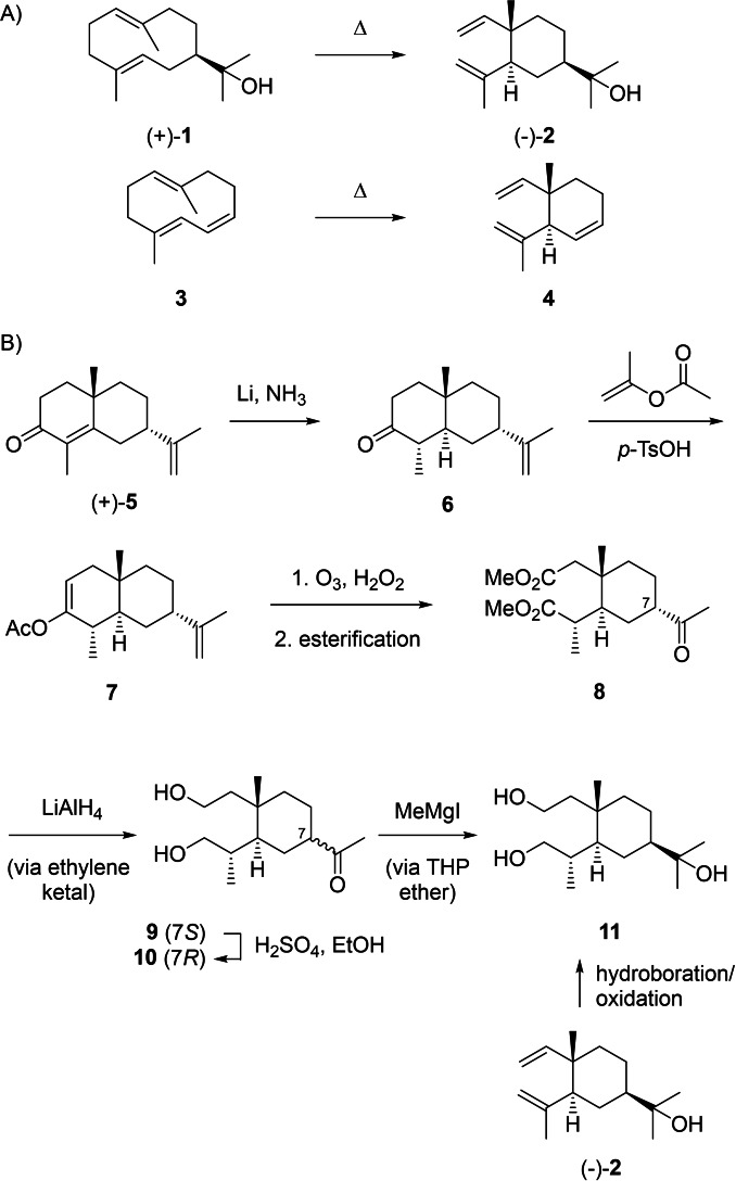Scheme 2