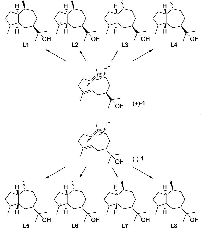 Scheme 28