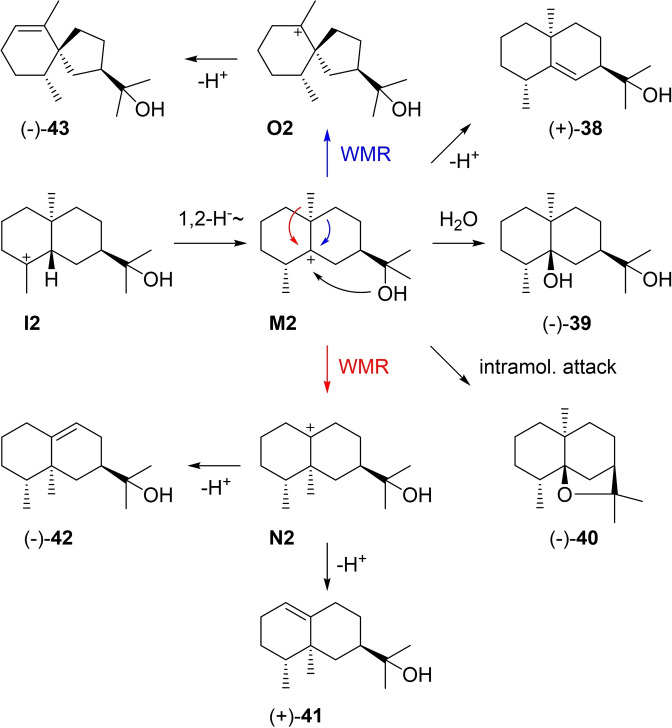 Scheme 11