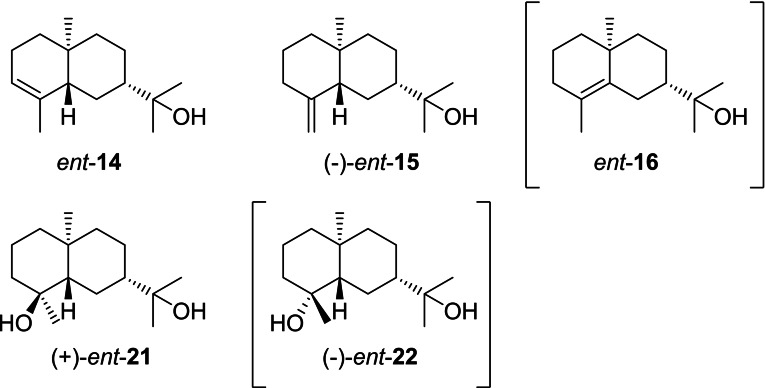 Scheme 19
