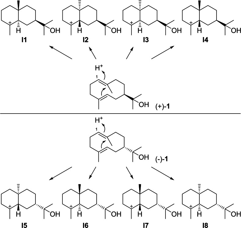 Scheme 6