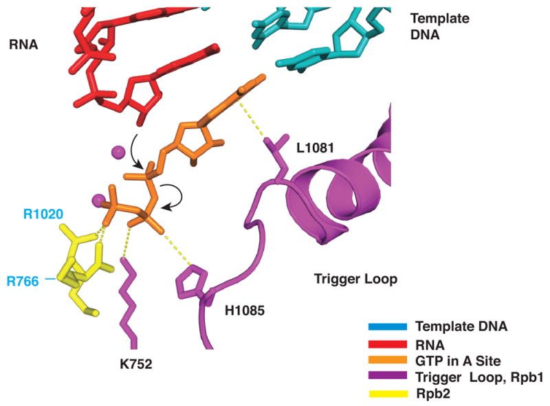 Figure 5