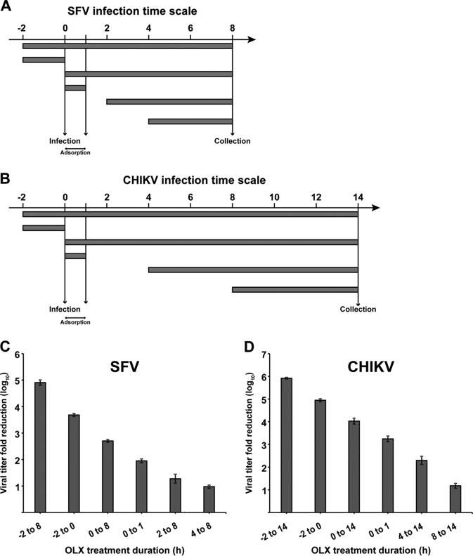 FIG 2