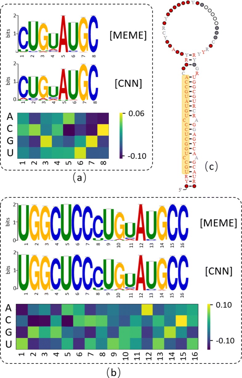 Fig. 9