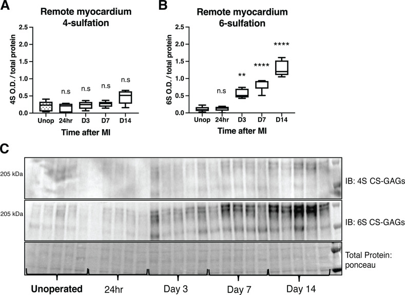 Figure 1—figure supplement 1.