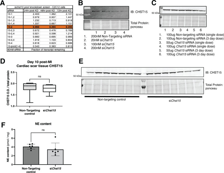 Figure 6—figure supplement 1.