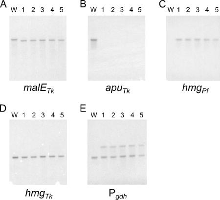 FIG. 5.