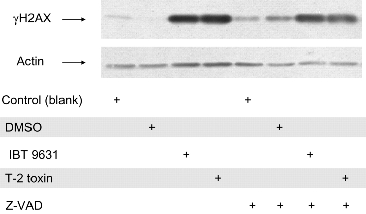 FIG. 11.