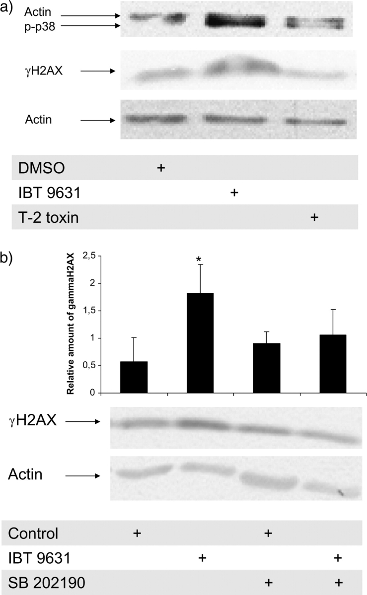 FIG. 10.