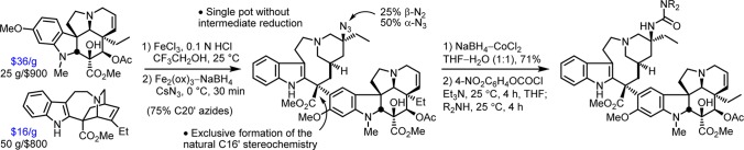 Scheme 3