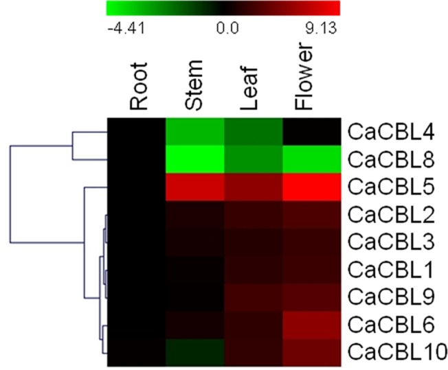 Fig 4