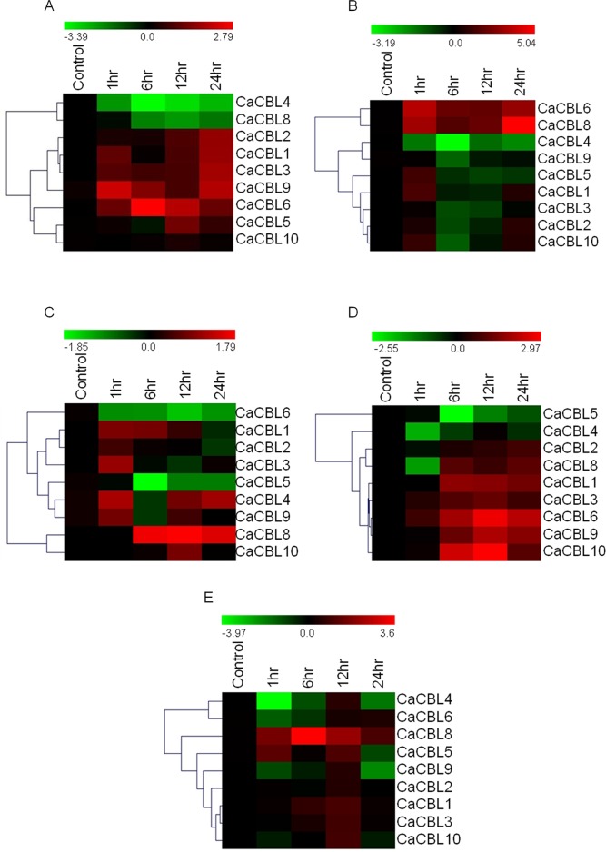 Fig 6