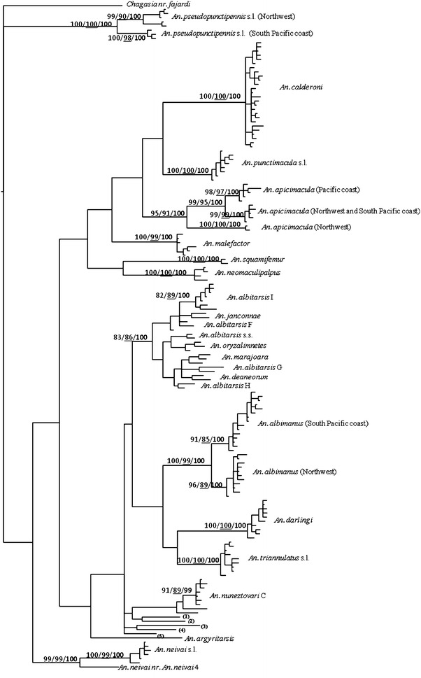 Fig. 1