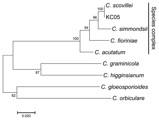 Fig. 1