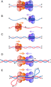 Fig. 1.