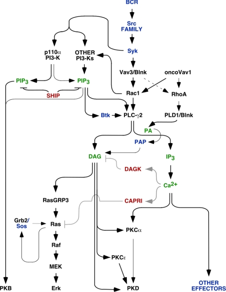 FIGURE 9.