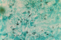 Fig 1b