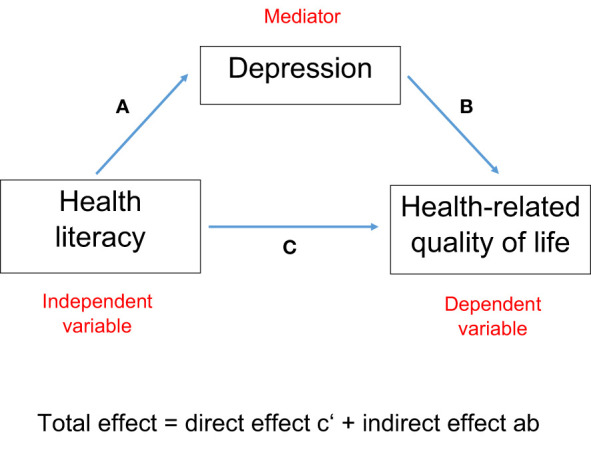 Figure 1