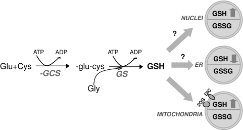 FIG. 6.