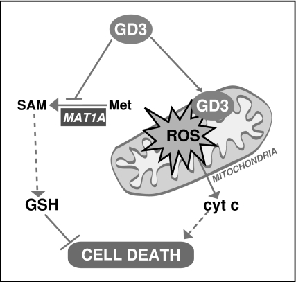 FIG. 8.