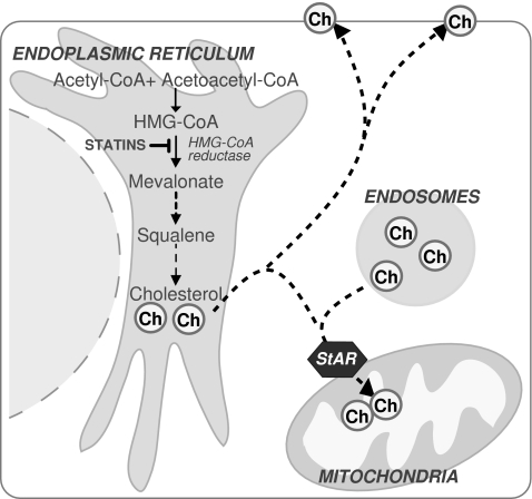 FIG. 9.