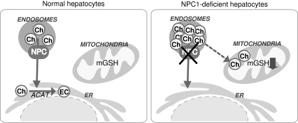 FIG. 10.