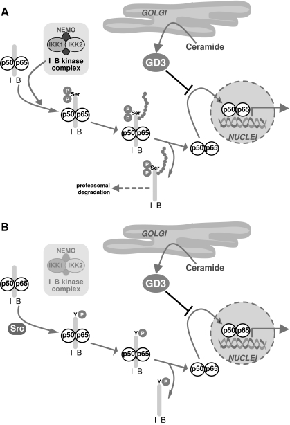 FIG. 15.