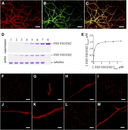 Figure 11.