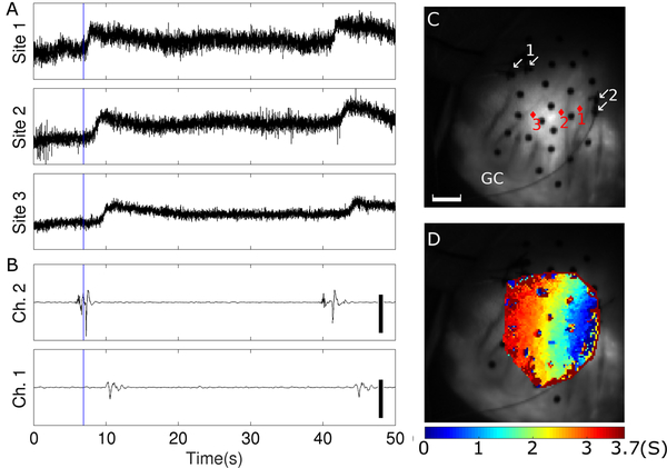 Figure 2.